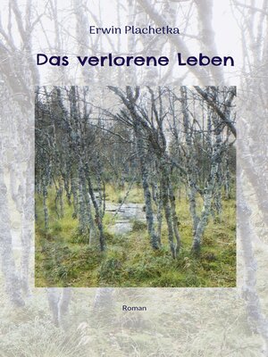 cover image of Das verlorene Leben